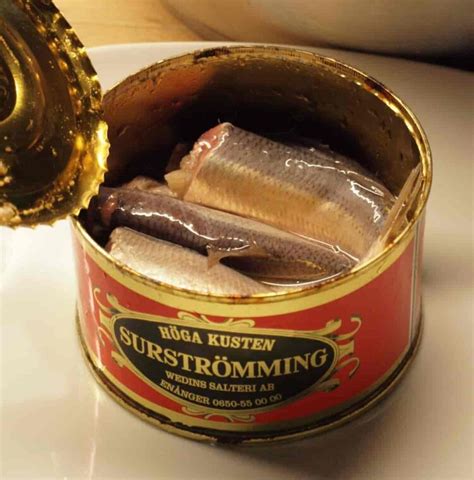 Fermented smelly Swedish fish: Surströmming